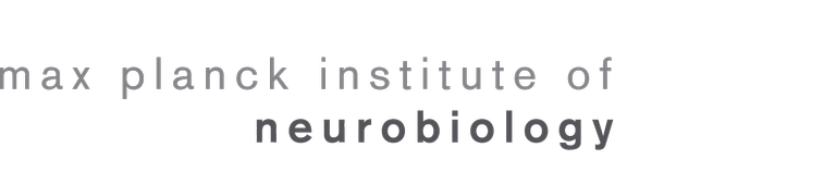 Max Planck Institute of Neurobiolgy Logo
